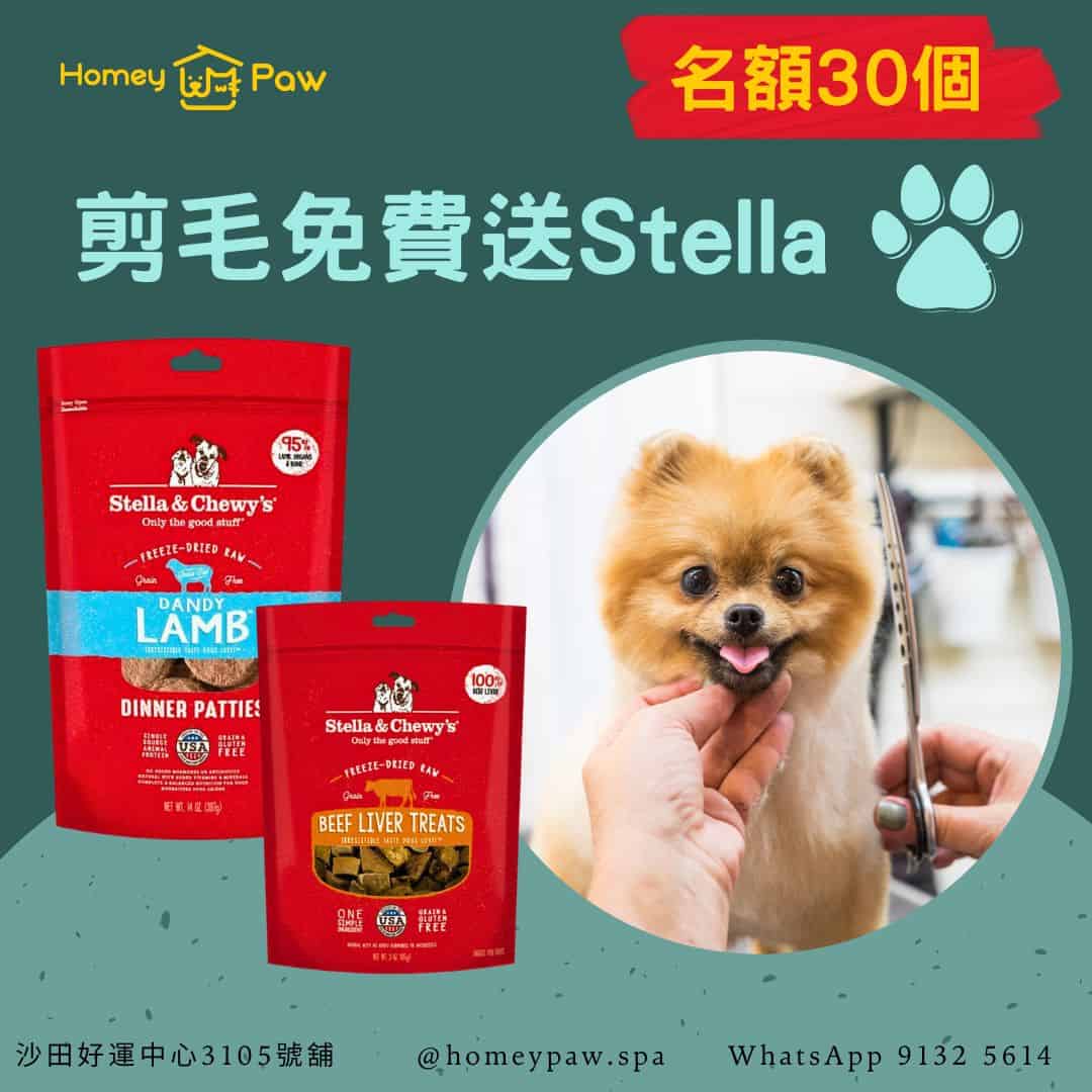 [名額30個] 剪毛免費送Stella